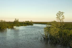 Una nueva isla se formó en el Río de la Plata, frente a las costas de San Isidro (Municipio de San Isidro)