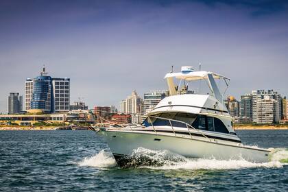 Una nueva plataforma web busca reunir a quienes quieren vivir experiencias náuticas, tengan licencia o no, con propietarios de embarcaciones