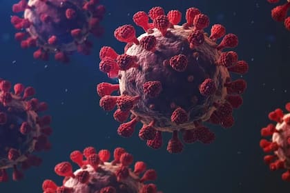 Una nueva subvariante de ómicron apareció en India y ya se expandió a diez países