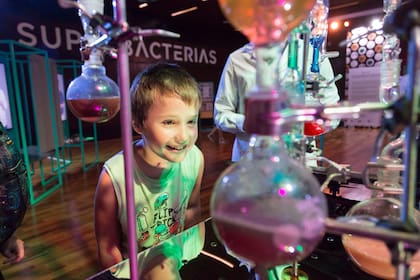 Una obra de bioarte fascina a chicos y grandes