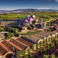 Un recorrido por la región vitivinícola más tradicional de España