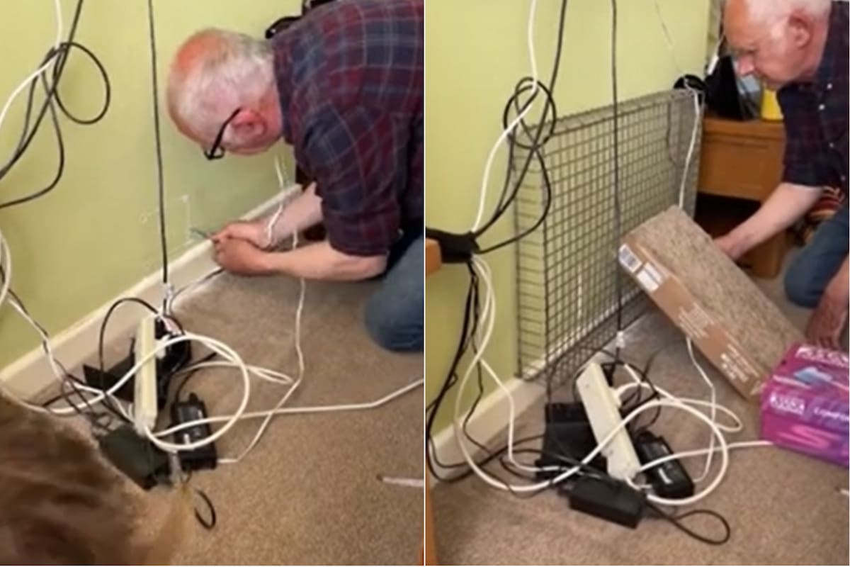 Una pareja de jubilados escuchó ruidos extraños en su pared y dedicieron abrir un agujero para descubrir de qué se trataba