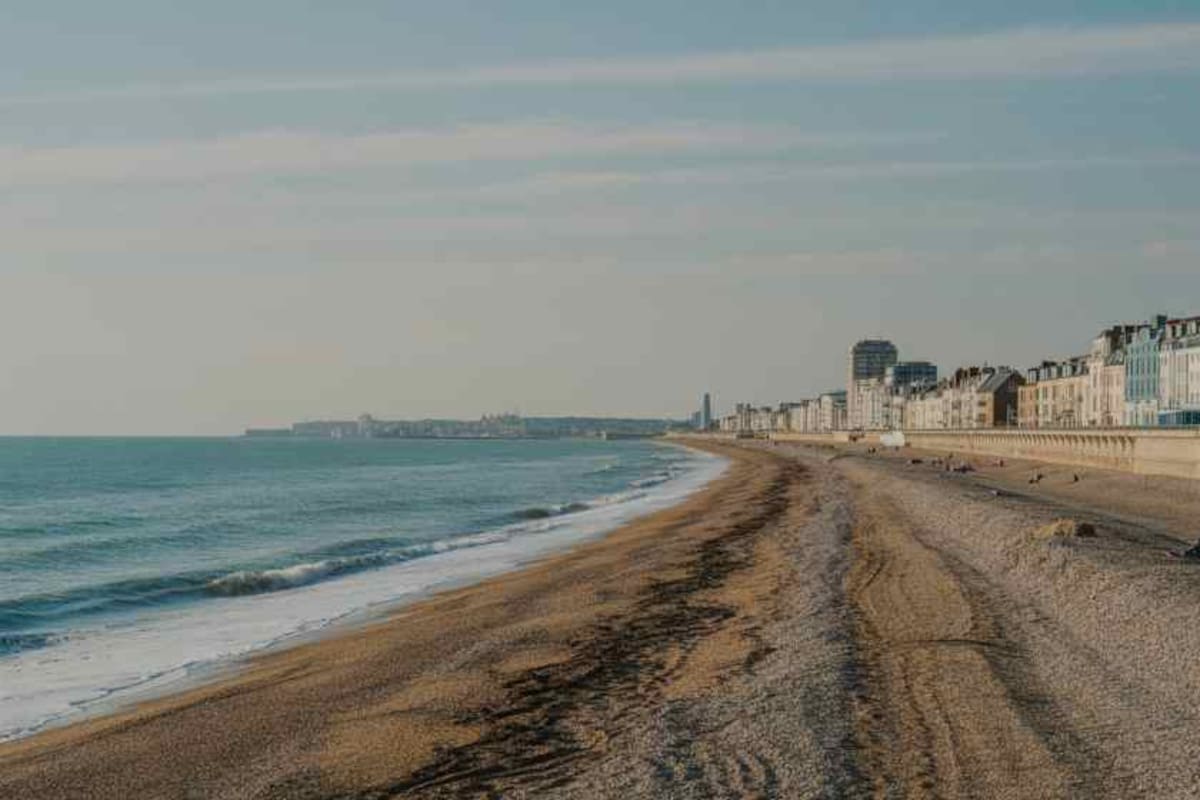 Una pareja se encontraba dando un paseo por la playa de Hove, cerca de Brighton, Inglaterra, cuando se tropezaron con una misteriosa criatura que llamó su atención
