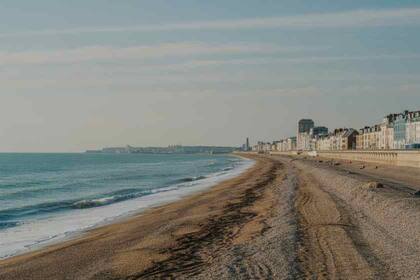 Una pareja se encontraba dando un paseo por la playa de Hove, cerca de Brighton, Inglaterra, cuando se tropezaron con una misteriosa criatura que llamó su atención