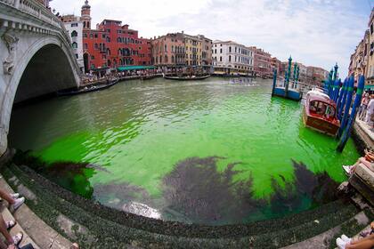 Una parte de las aguas del Gran Canal de Venecia, en Italia, se tiñeron de verde fosforescente este domingo