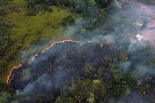 Policía de Brasil lanza operativo por presunto uso de químicos para deforestar Amazon