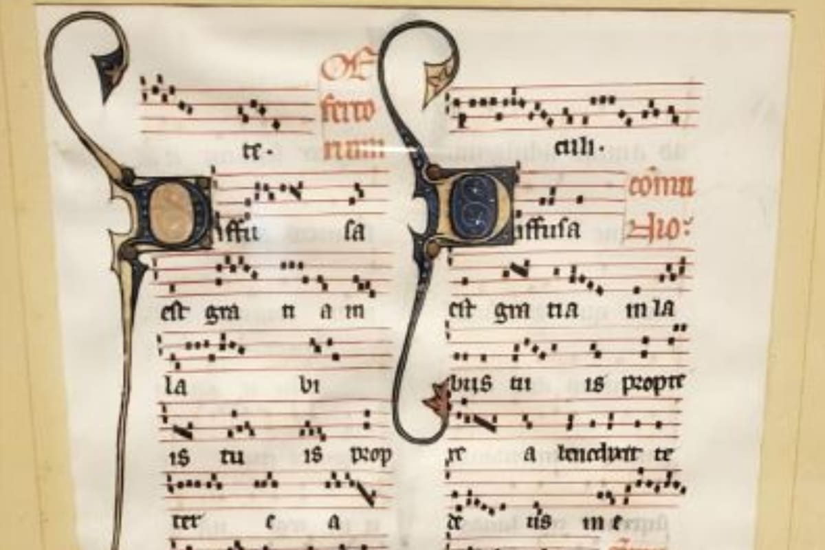 Una partitura histórica sorprendió a un coleccionista quien la adquirió por un precio excesivamente barato
Foto: Will Sideri