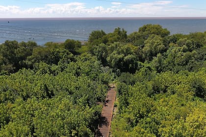 Una pasarela de 1200 metros se abre paso entre la vegetación y muestra el camino a los visitantes