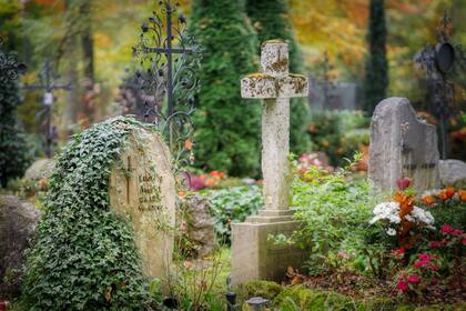 Una patóloga forense reveló cuál es la forma más dolorosa de perder la vida y generó conmoción (Foto: Pixabay)