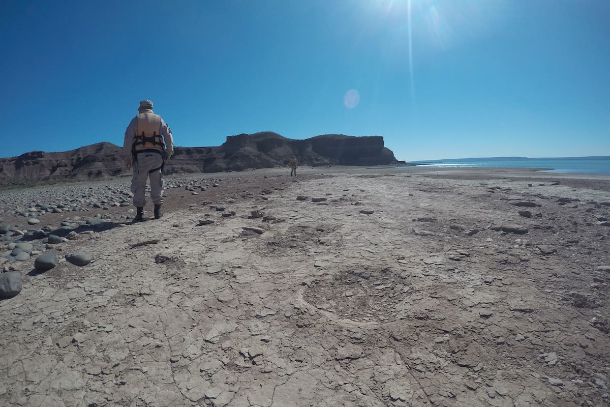 Una patrulla de Prefectura halló huellas de dinosaurio de unos 100 millones de años de antigüedad