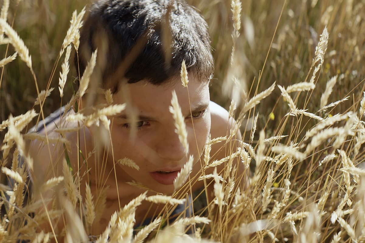 Una película basada en una novela argentina se convirtió en un rotundo éxito en el país norteamericano