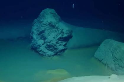 Una pileta de salmuera que no tiene oxígeno fue hallada en el fondo del Mar Rojo y los científicos analizan sus cualidades