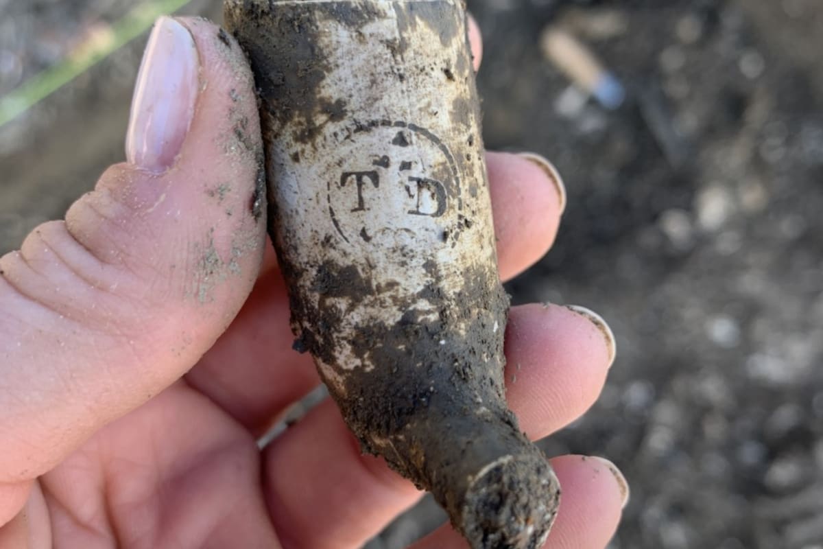Una pipa que perteneció a un esclavo que sirvió en una plantación jesuita de hace 300 años, en Maryland (MDOT SHA)