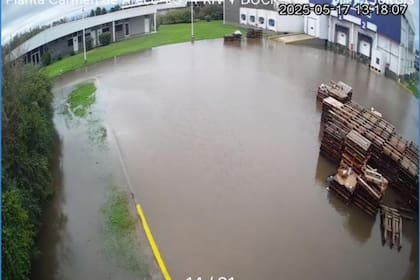 Una planta avícola en Carmen de Areco inundada