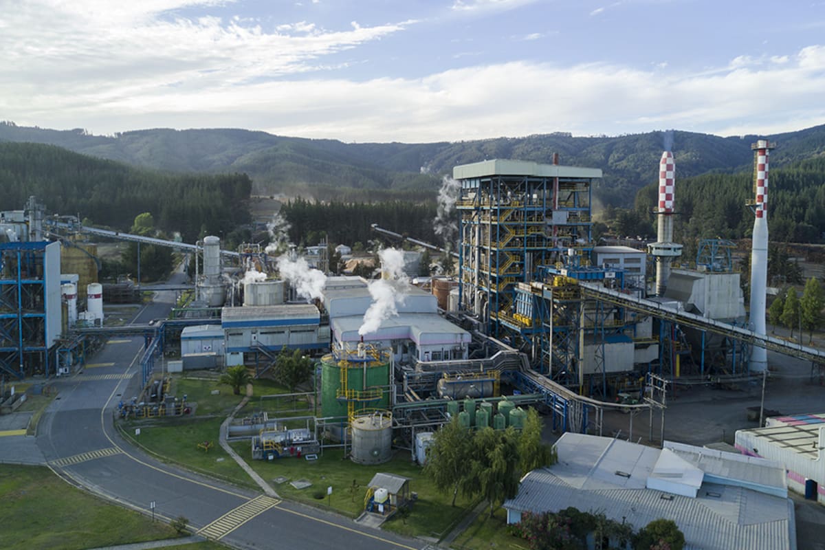 Una planta de Arauco en Licantén, Chile