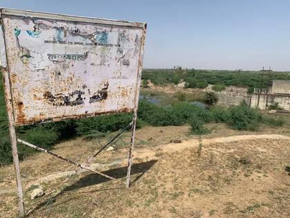 Una plantación de árboles que fracasó en el distrinto de Banda, en el estado de Uttar Pradesh en India