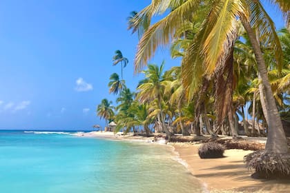 Una plata de Isla Colón, en Bocas del Toro, Panamá