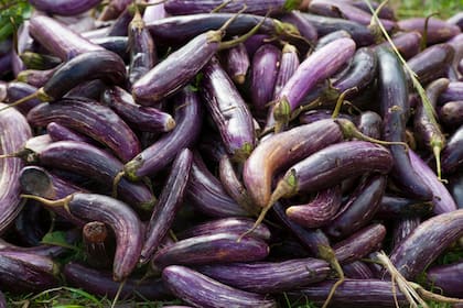 Una porción de berenjena puede proporcionar al menos el 5% de las necesidades diarias de fibra, cobre, manganeso, vitamina B-6 y tiamina que requiere una persona