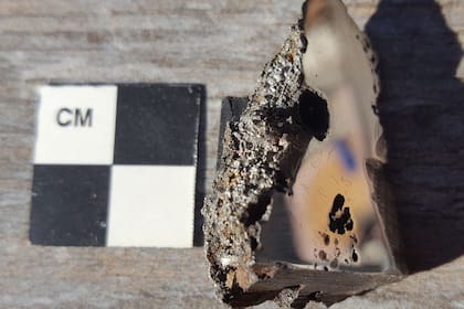 Una porción del meteorito El Ali, ahora alojado en la Colección de Meteoritos de la Universidad de Alberta, contiene dos minerales nunca antes vistos en la Tierra. POLITICA INVESTIGACIÓN Y TECNOLOGÍA UNIVERSIDAD DE ALBERTA