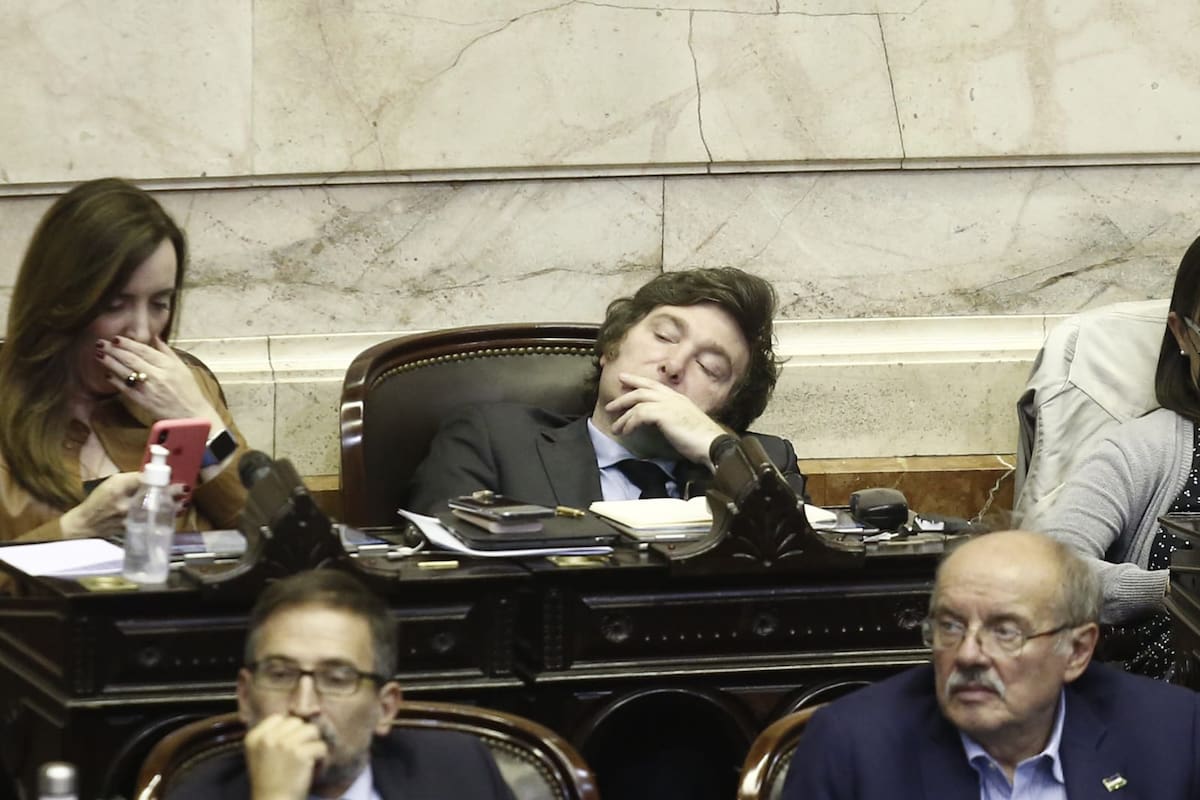 Una postal de 2022: el diputado Javier Milei durante la sesión celebrada en la Cámara de Diputados por el acuerdo con el FMI; a su lado, Victoria Villarruel