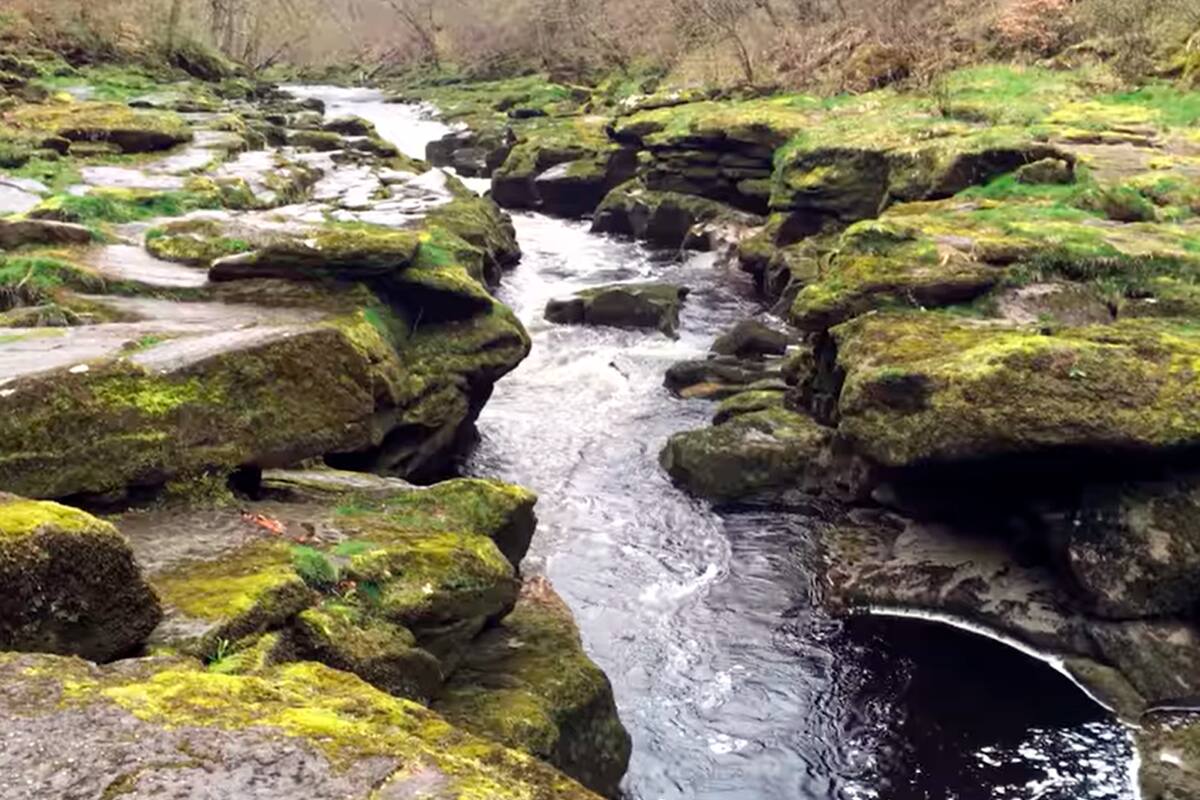 Una postal de "The Strid", nombre con el que se conoce al río Wharfe