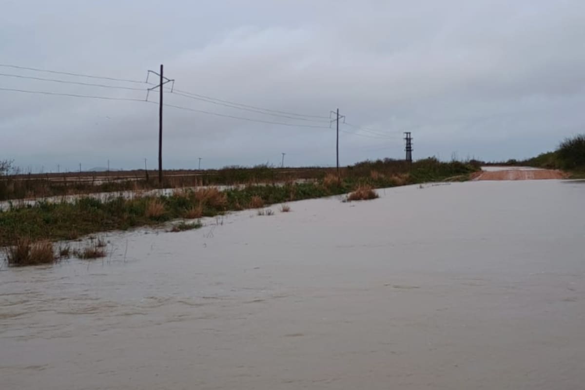 Una postal de campos inundados en el departamento de Paso de los Libres, provincia de Corrientes