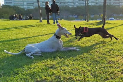 Una postal de domingo: en el parque con amigos.