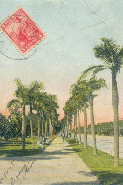 Una postal de la Avenida de las Palmeras, que ideó Domingo Faustino Sarmiento y que fue duramente cuestionada por un sector de la sociedad que llamaba a los árboles "las escobas de Sarmiento"