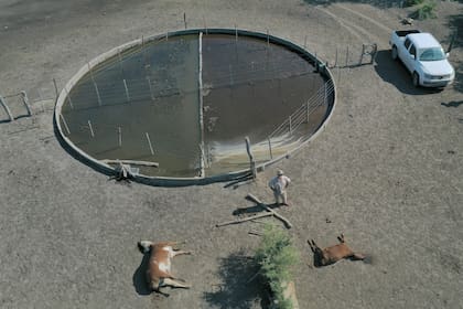 Una postal de la sequía que afectó al norte de Santa Fe