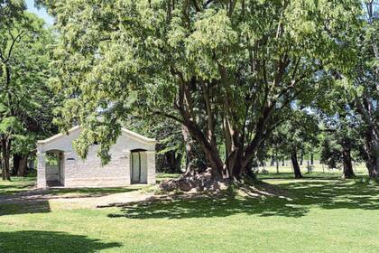 Una postal del campo