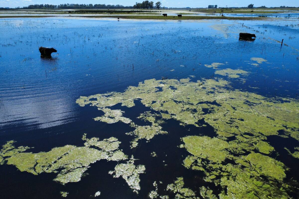 Una postal del agua sobre los campos en el centro oeste provincial