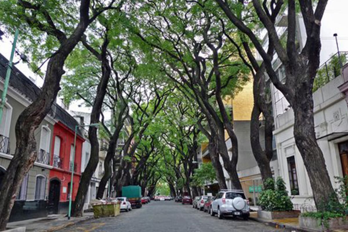 Una postal del barrio de Palermo