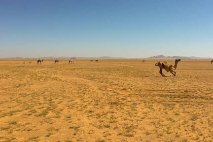 Una postal del camino hasta Bir Tawil en el desierto de Sudán