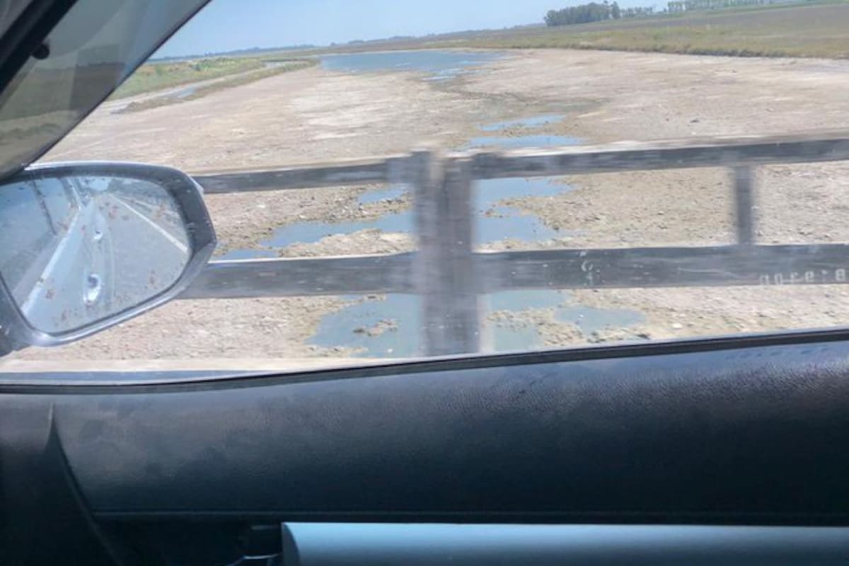 Una postal del río Salado a la altura de Roque Pérez. El caudal también es crítico en Alberti. Twitter Francisco Carreras