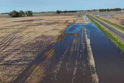 Una postal que se repite en los campos del noroeste bonaerense, con caminos anegados por el agua