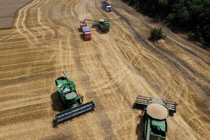 Una probable menor siembra de primavera tendrá impacto sobre la cosecha total de trigo en Rusia y en Ucrania