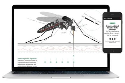 Una producción de Fabiola Czubaj sobre el dengue recibió el primer premio en la categoría Infografía y Periodismo Visual