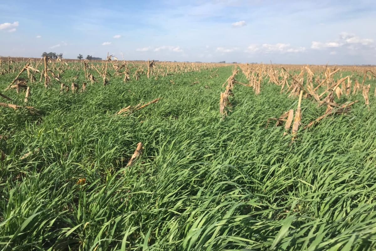 Una producción sustentable ayuda a la conservación