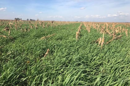 Una producción sustentable ayuda a la conservación