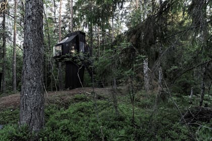 Una propuesta inmersiva en la naturaleza