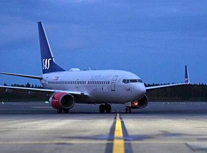 Una rata apareció entre la comida de un vuelo de Scandinavian Airlines