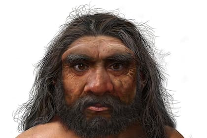 Una reconstrucción ilustrada del rostro de un denisovano