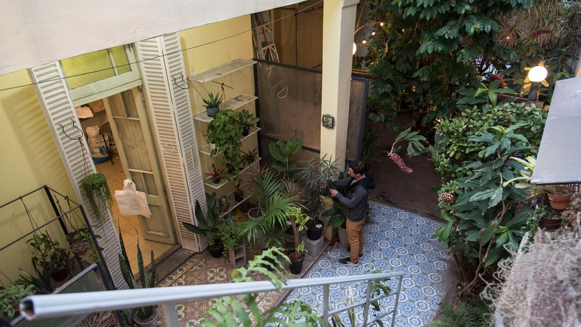 Una recorrida por La Casa Vivero