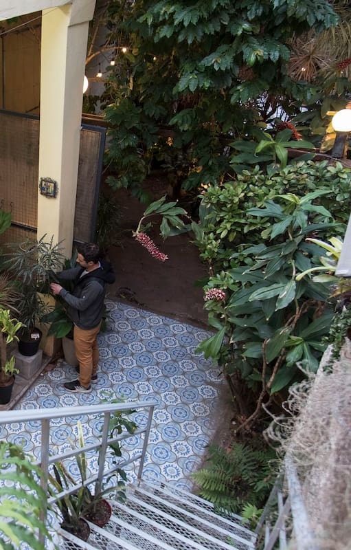 Una recorrida por La Casa Vivero