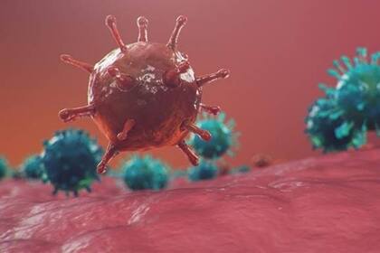 Una recreación de la infección por el SARS-Cov-2, el virus que causa el Covid