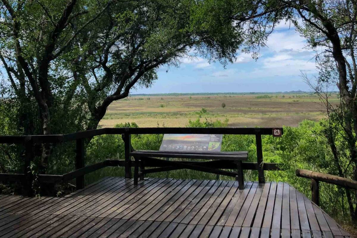 Una reserva natural con ciervos a una hora de la Capital Federal (Foto: La Ruta Natural)