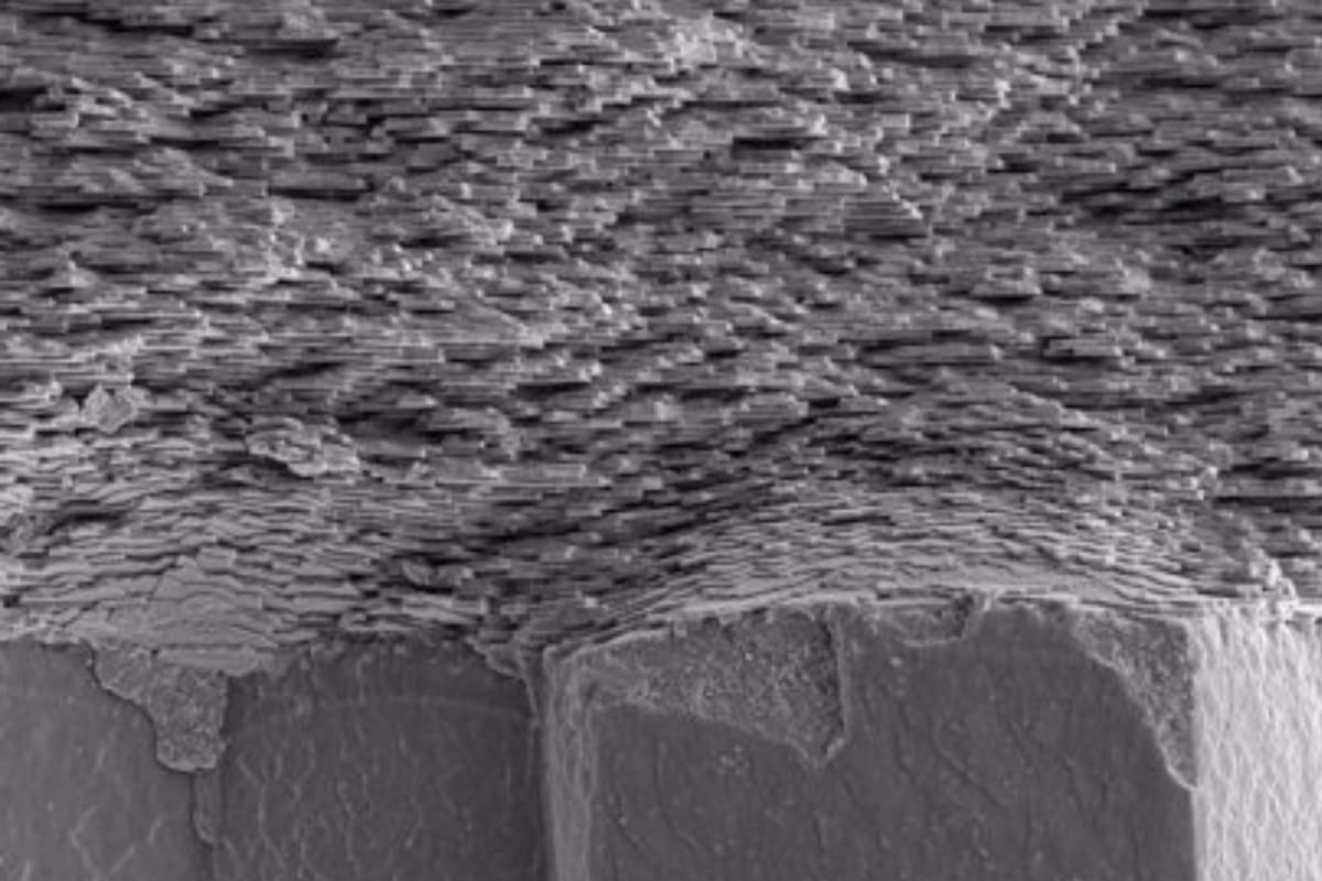 Una sección transversal de una concha que muestra el nácar en capas periódicas sobre una estructura de concha prismática