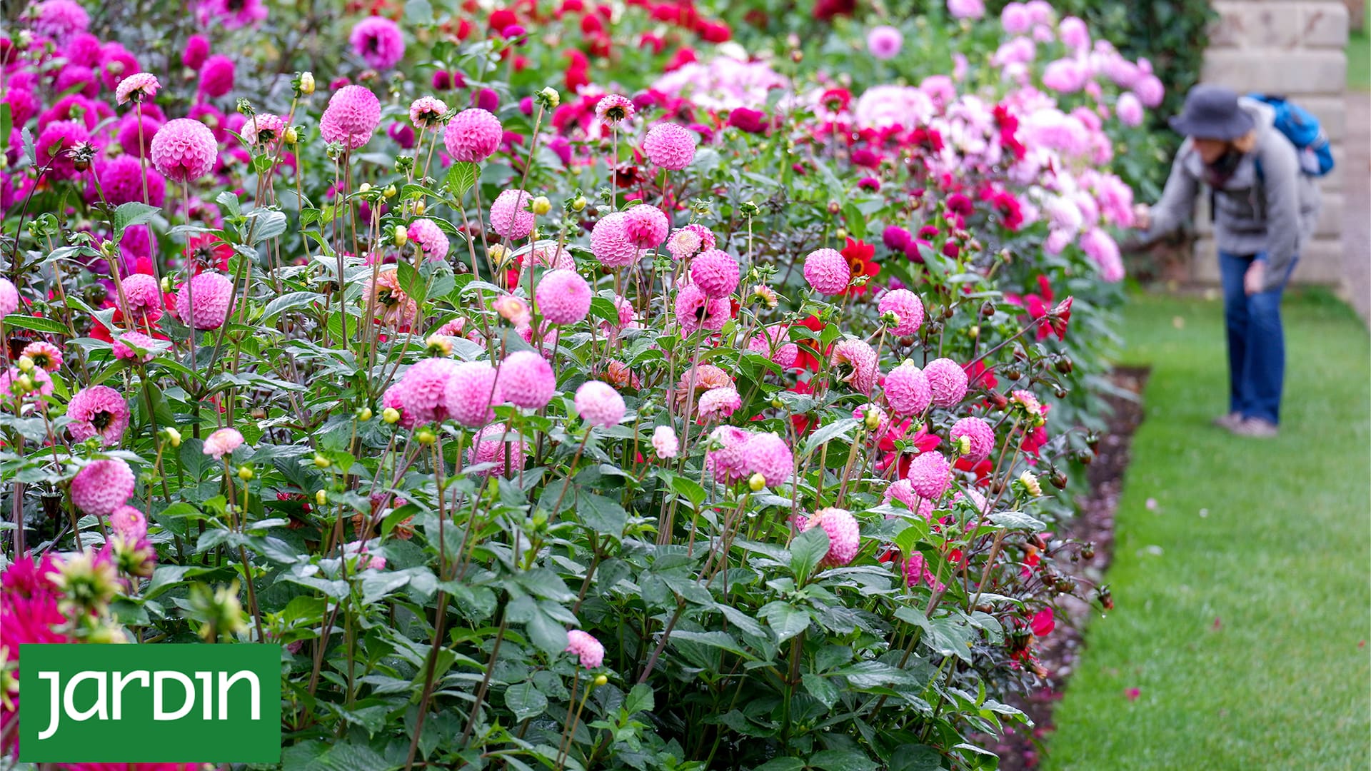 Una selección de flores para llevar tu jardín a otro nivel