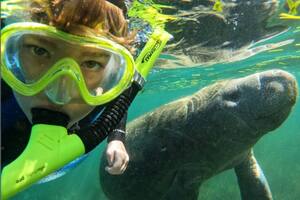Una selfie con un manatí, una postal que solo es posible en Crystal River, Florida