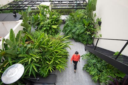 Una selva urbana donde se logró un contraste entre un diseño neto y sofisticado y una vegetación exuberante, llena de texturas y colores.
Paisajismo: Estudio Barzi Casares
